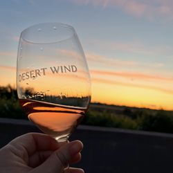 Desert Wind