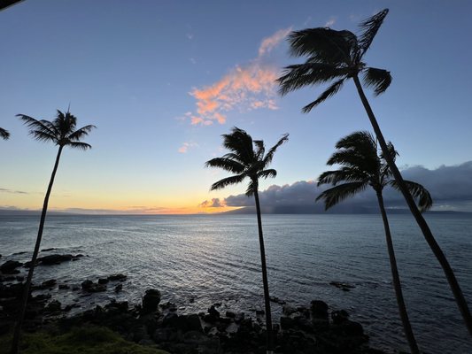 Noelani Condominium Rental Association by null