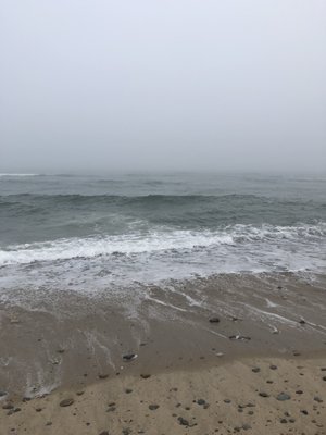 Coast Guard Beach by null
