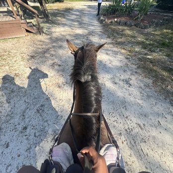 Pink Flamingo Stables - Horseback Riding Near Me - Lake Worth, Florida