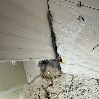 Attic Kings - Sealed up Yellow Jacket intrusion point. - Insulation Installation Near Me - Vallejo, California