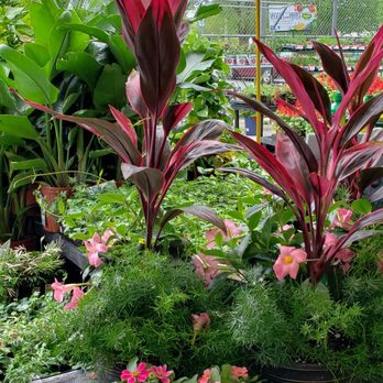 Walmart Garden Center - Nurseries & Gardening Near Me - Diberville, Mississippi