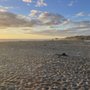Photo of San Simeon Creek Beach