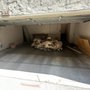 Photo of A+ Junk Removal