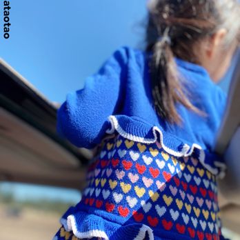 Bearizona - Sunroof is a great spot. - Zoos Near Me - Williams, Arizona