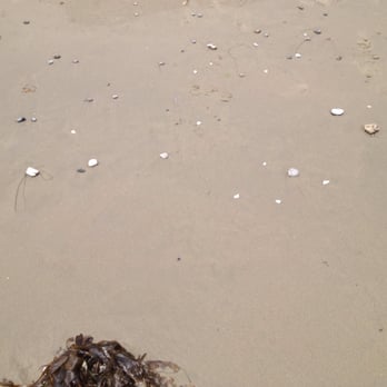 Carpinteria State Beach - Shells & Stuff - Beaches Near Me - Carpinteria, California