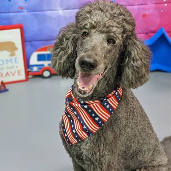Barx Parx - 4th of July - Pet Training Near Me - Las Vegas, Nevada Barx Parx - 4th of July - Pet Training Near Me - Las Vegas, Nevada
