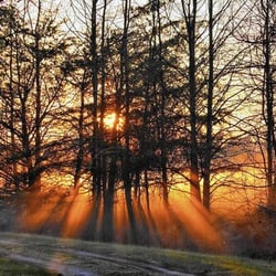 Bacon Ridge Park - Sunrise at Bacon Ridge Natural Area. Courtesy of (Wendy Crowe / HANDOUT)