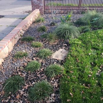 Hats Off Landscaping+ - Before - Landscaping Near Me - Stockton, California Hats Off Landscaping+ - Before - Landscaping Near Me - Stockton, California