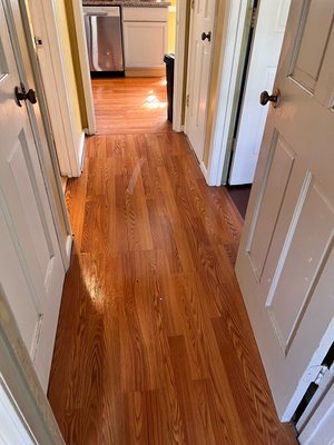 Full basic cleaning 2023 - Full Basic cleaning for a recurring client.