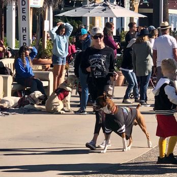 Avila Beach - Look at that handsome boy Hunter! - Beaches Near Me - Avila Beach, California