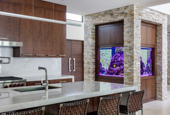 Jellyfish Art by null