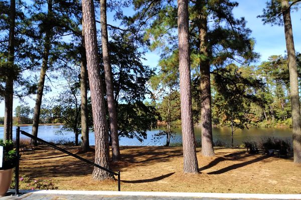 Jolene Family Winery by null