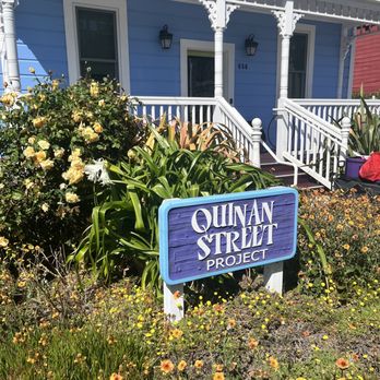Planted Energy - QSP - Reiki Near Me Planted Energy - QSP - Reiki Near Me
