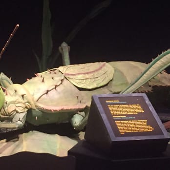 Arizona Science Center - Children's Museums Near Me - Phoenix, Arizona Arizona Science Center - Children's Museums Near Me - Phoenix, Arizona