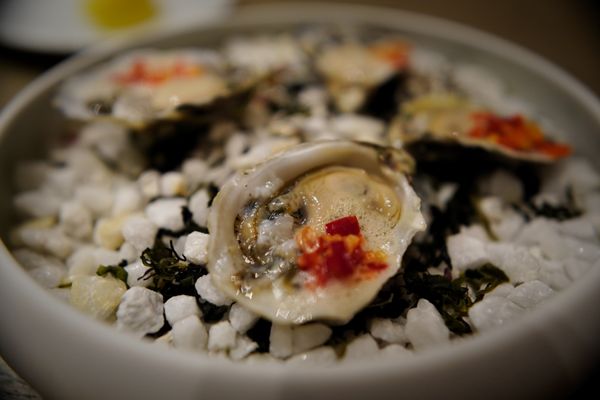 Salvia Terrace & Bar by null Salvia Terrace & Bar by null