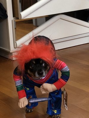 Big Boulder Mountain by null