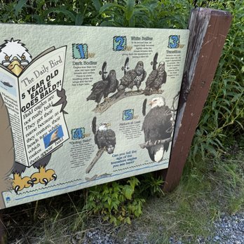 Denali Viewpoint South - Campgrounds Near Me - Trapper Creek, Alaska