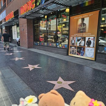 Amoeba Music - Located along the Walk of Fame on Hollywood Boulevard! - Music & DVDs Near Me - Los Angeles, California