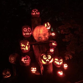 Jack-O-Lantern Spectacular - Festivals Near Me - Providence, Rhode Island Jack-O-Lantern Spectacular - Festivals Near Me - Providence, Rhode Island
