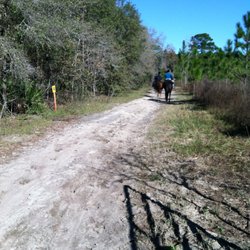 Blue Moon Ranch - Trail riding at Lake Panassoffkee
