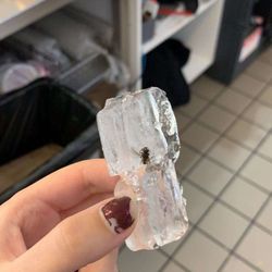 Dunkin' - Yup. You guessed it. No caption. Fly Ice