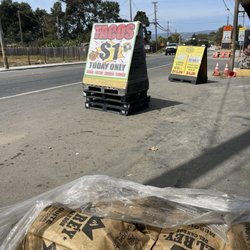 Farmers Market - Great price for Taco Tuesday!