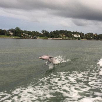Mega Bite - Boating Near Me - Clearwater, Florida