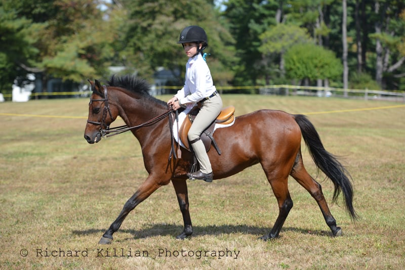 KELSEY FARM Updated September 2024 1016 Lake Ave, Greenwich