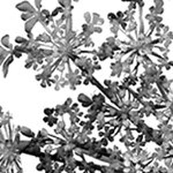 Jessica Sutton Graphic Design - Graphic Design Near Me - Boston, Massachusetts Jessica Sutton Graphic Design - Graphic Design Near Me - Boston, Massachusetts
