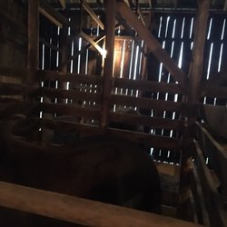 Long C Trails - Stables in main barn