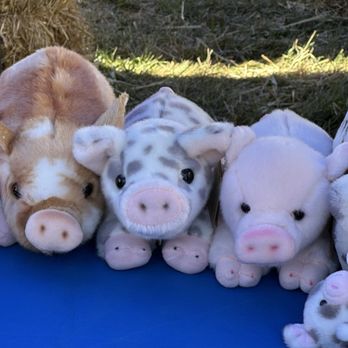 Alameda County Fair - Merch for sale - Festivals Near Me - Pleasanton, California