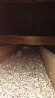 Sun Pacific Services Inc