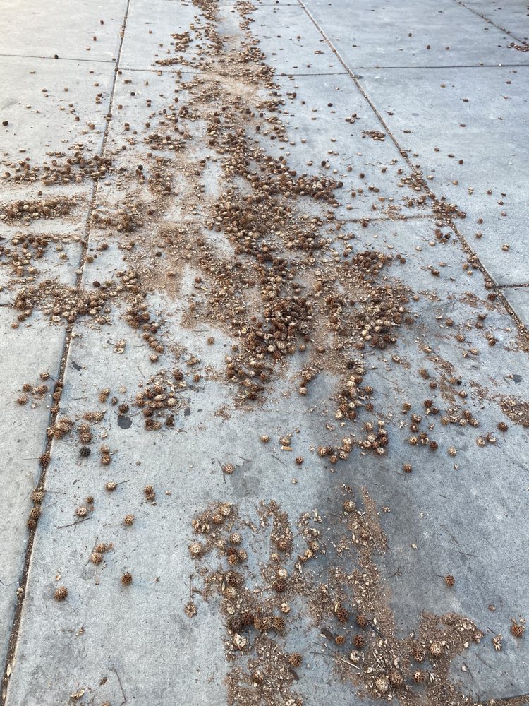 Slide of Four Seasons Roofing