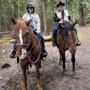 Photo of Swan Mountain Outfitters