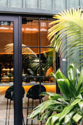 PARIS HAWAII by null