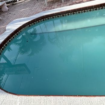Silver Sands Motel - Dirty pool, the water stinks - Hotels Near Me - Clearwater Beach, Florida Silver Sands Motel - Dirty pool, the water stinks - Hotels Near Me - Clearwater Beach, Florida