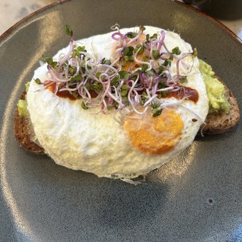 Provisional Kitchen - Avocado toast - Breakfast & Brunch Near Me - San Diego, California