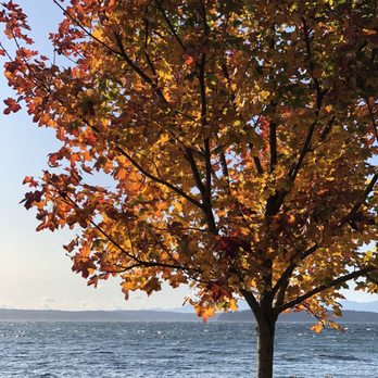 Lincoln Park - 10.26.19 - Parks Near Me - Seattle, Washington