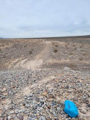 Tule Springs Fossil Beds National Monument by null