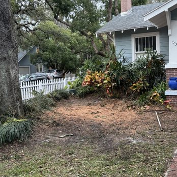 Andrew's Tree Care - Tree Services Near Me - Clearwater, Florida Andrew's Tree Care - Tree Services Near Me - Clearwater, Florida