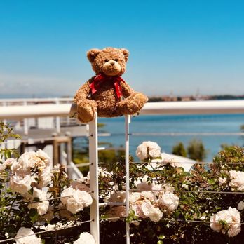 JW Marriott Venice Resort & Spa - Hotels Near Me - Venice, RM JW Marriott Venice Resort & Spa - Hotels Near Me - Venice, RM