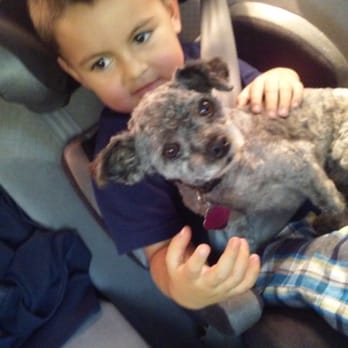 Foothill Animal Hospital - Oso had a great make over Thank you eileen espinoza You did an amazing job - Veterinarians Near Me - Upland, California Foothill Animal Hospital - Oso had a great make over Thank you eileen espinoza You did an amazing job - Veterinarians Near Me - Upland, California