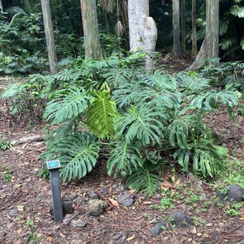 The Magic of Maui Experience - Tours Near Me - Kihei, Hawaii The Magic of Maui Experience - Tours Near Me - Kihei, Hawaii