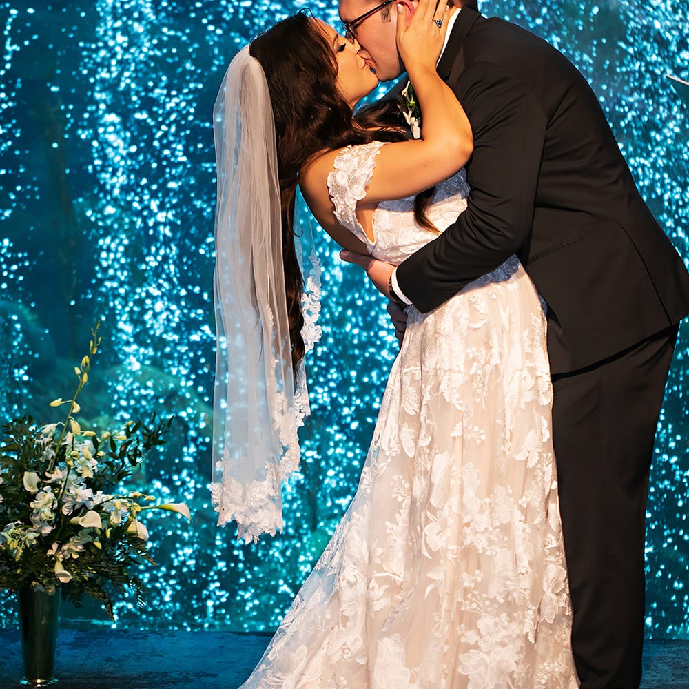 Limelight Photography - Event Photography Near Me Limelight Photography - Event Photography Near Me