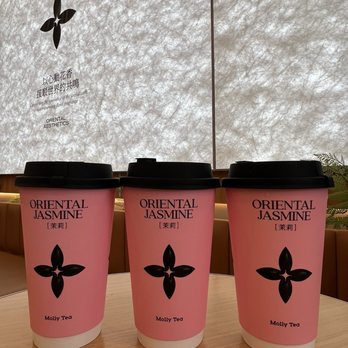 Molly Tea - Premium Jasmine Milk Tea x3 - Bubble Tea Near Me - Sunnyvale, California