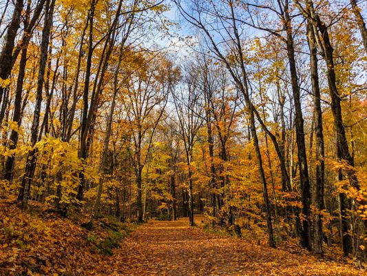 Arrowhead Provincial Park by null