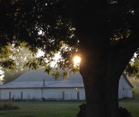 Farmhouse Inn by null