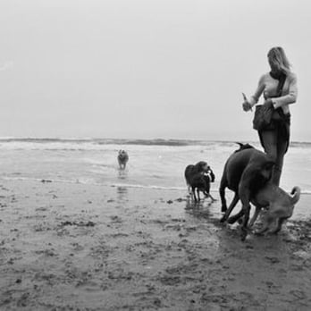 Puppy Love - Dog Walkers Near Me Puppy Love - Dog Walkers Near Me