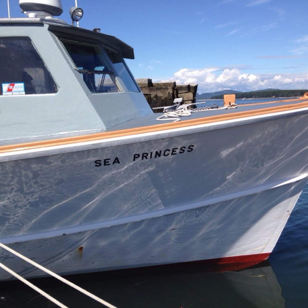 The Sea Princess The Sea Princess